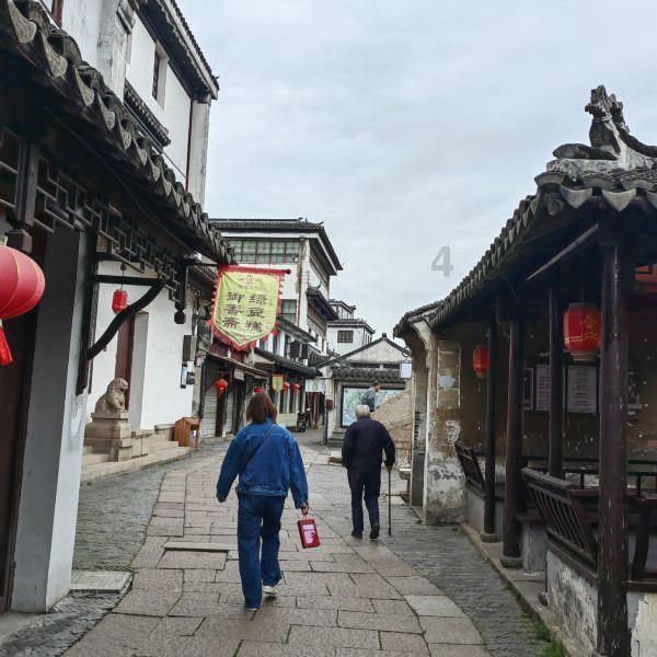 拯救精灵的土地5